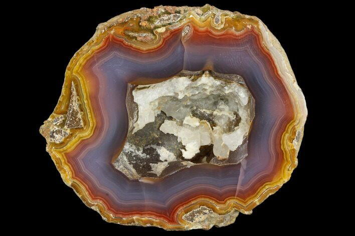 Coyamito Agate Geode Half - Chihuahua Mexico #114498